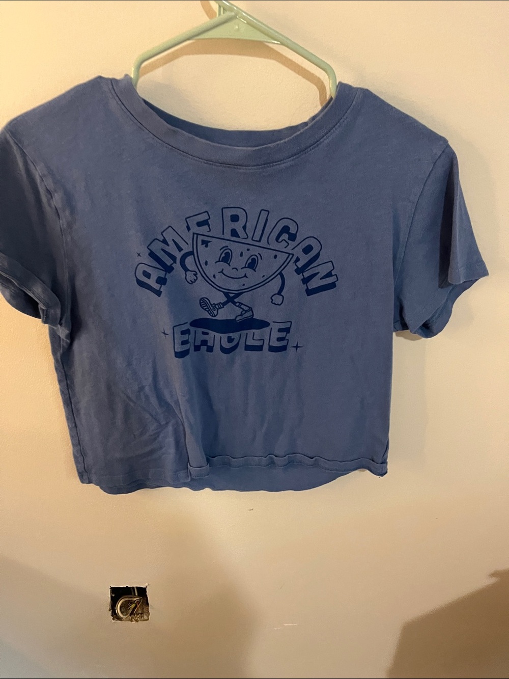 American Eagle Light Blue Graphic Cropped Tee